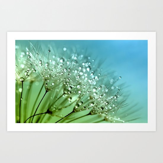 Aqua Sparkling dewdrops on a Dandelion- Flower Flowers Art Print