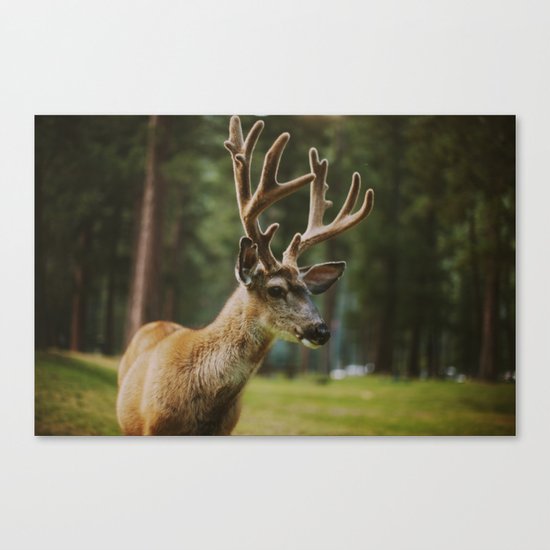 Joseph Canvas Print