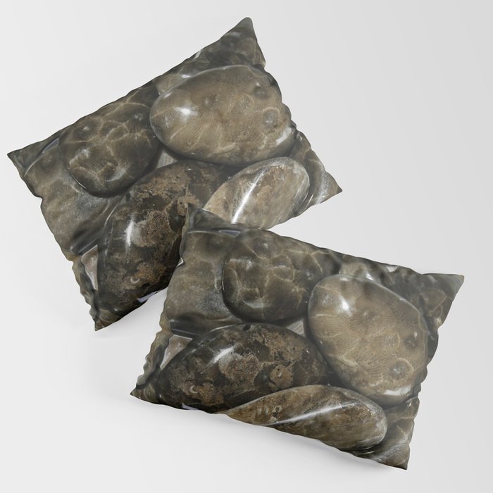 Fossilized Coral Pillow Sham