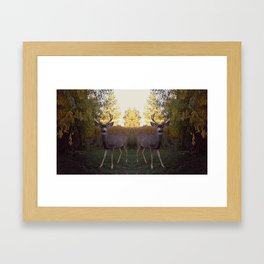 Backyard Deer  Framed Art Print | Nature, Photo, Animal, Landscape 