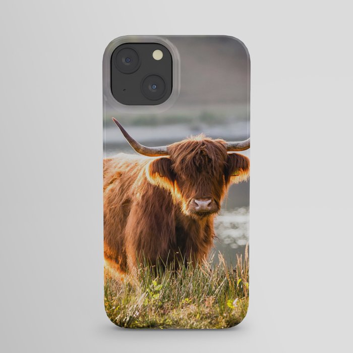 Scottish Highland Cattle portrait iPhone Case