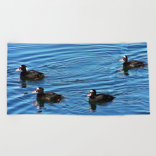 Surf Scoters Beach Towel