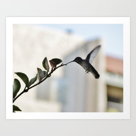 In-Flight Snack Art Print