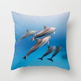 Dolphin Squad Throw Pillow
