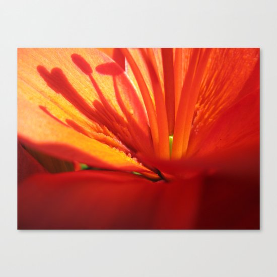Red Stamen 86 Canvas Print