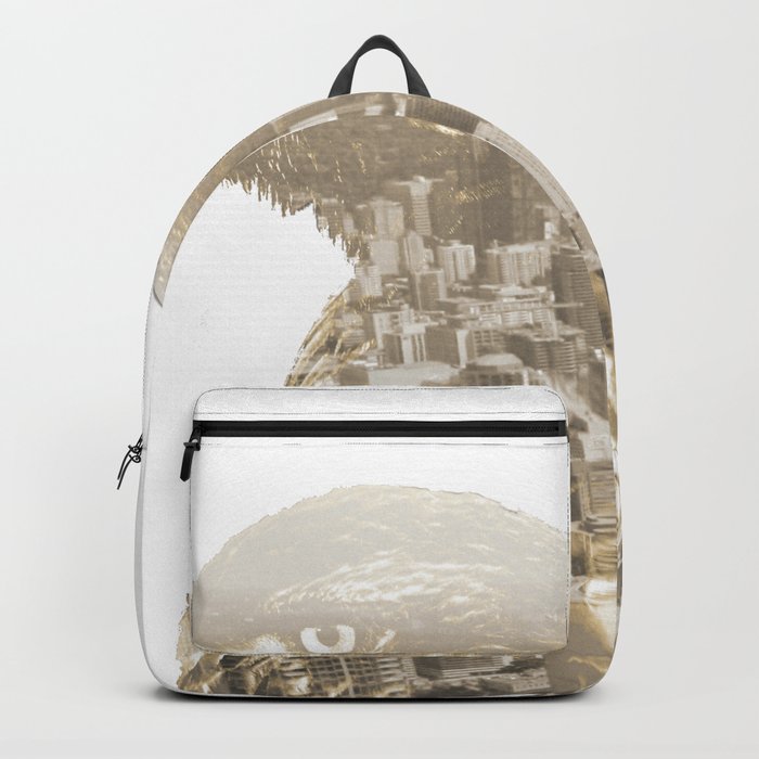 Hawk deals backpack size
