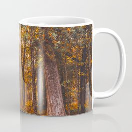 Forest and Fall Colors | Nature Photography  Coffee Mug