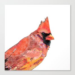 Red Cardinal Bird Art - The Prince by Sharon Cummings Canvas Print