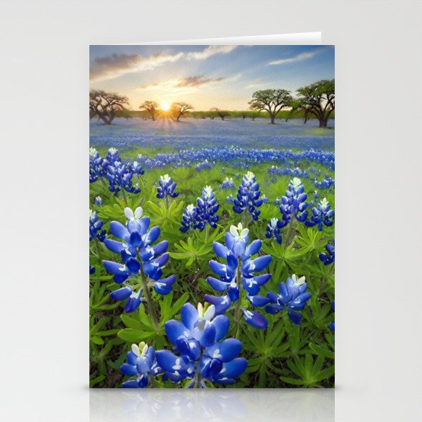 Central Texas Bluebonnets Sunrise Stationery Cards