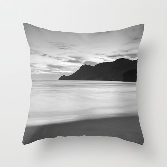 Silver sea. BN Throw Pillow