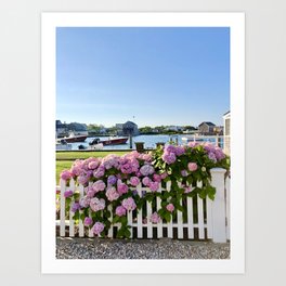 Nantucket Hydrangea Harbor Art Print