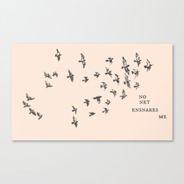 "No net ensnares me" + flock of birds - Jane Eyre quote, Charlotte Bronte (pale pink background) Canvas Print