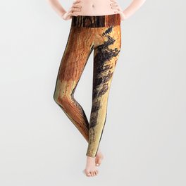 Amber Golden Whiskey-Colored Vintage Wood Planks Photo Leggings