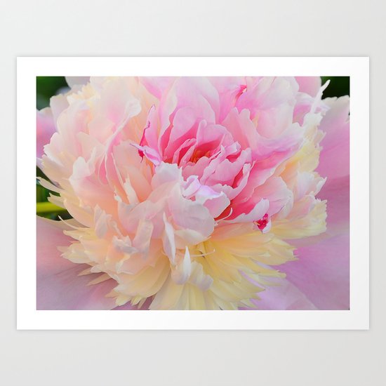 Joy of a Peony by Teresa Thompson Art Print