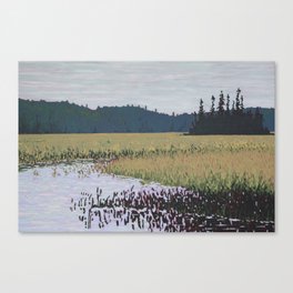 The Grassy Bay, Algonquin Park Canvas Print