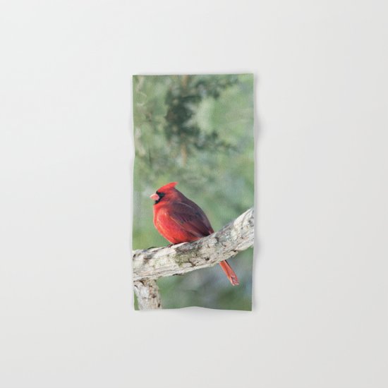 Serene Cardinal Hand & Bath Towel