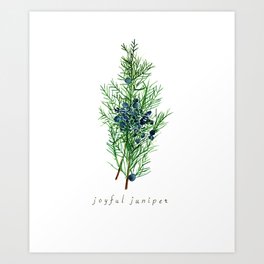 Joyful Juniper Plant Watercolor Painting Illustration Art Print