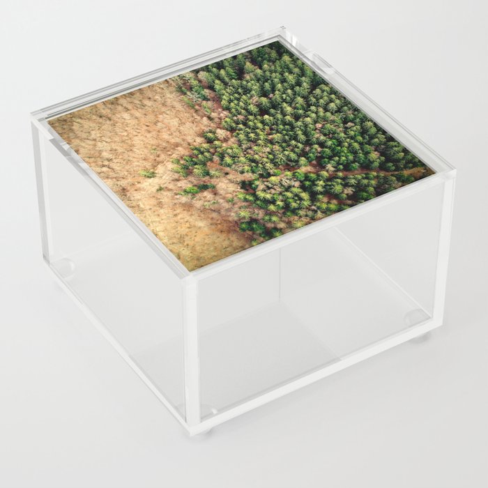 Aerial view of spruce forest landscape Acrylic Box