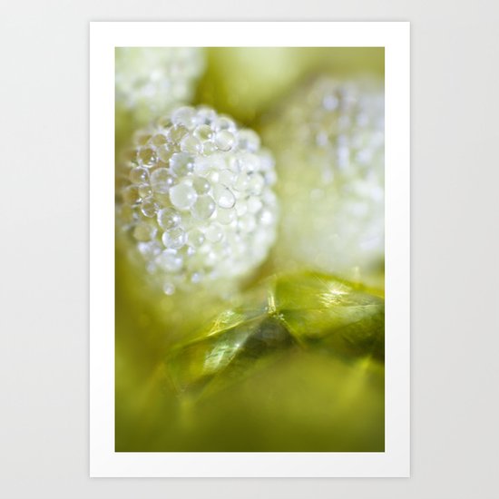 SERIES »MICROPEARLS« III Art Print