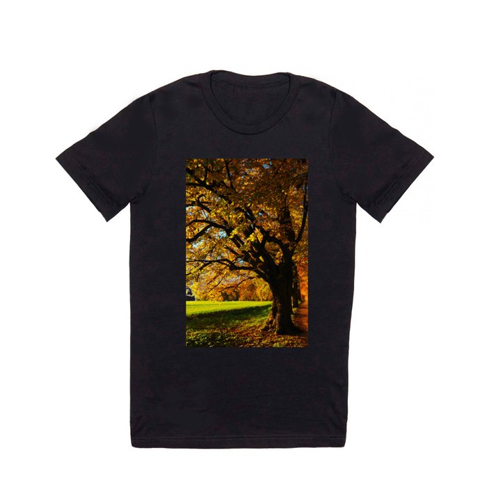 Fall Leaves T Shirt