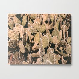 Cactus Maximalism // Vintage Bohemian Desert Photography Home Decor Summer Vibes Metal Print | Summer Sun Saguaro, Joshuatree Garden, Photo, Hippie Tree Set Rise, Picture And The Of, Bath Room Mini Love, Pictures Photos Home, Apartment Wilderness, Photo Joshua Leaf, Style National Park 