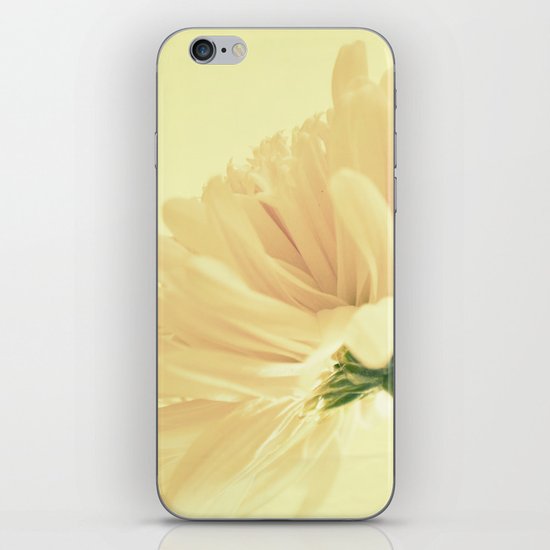 A Revelation iPhone & iPod Skin