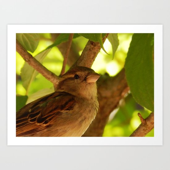 Sweet song Art Print