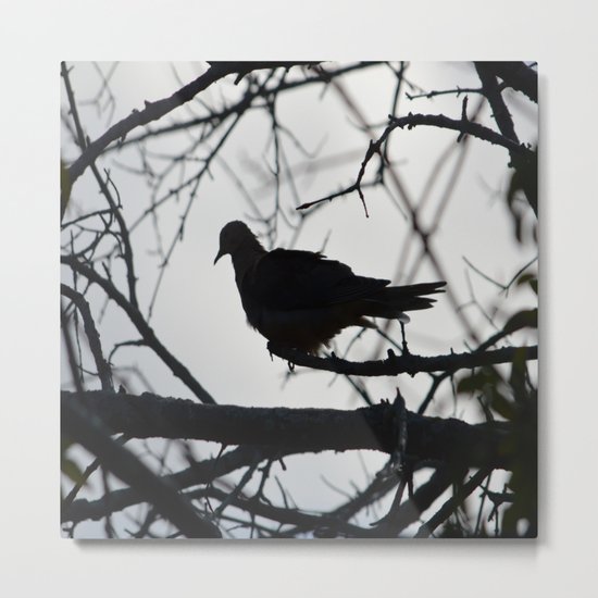 Black Bird Metal Print