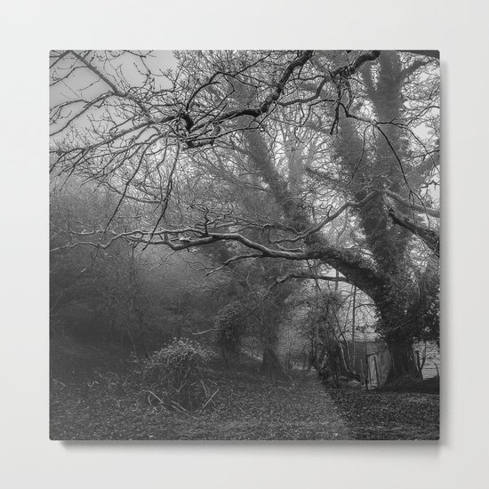 Tomorrow Metal Print