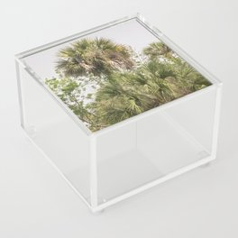 palm trees  Acrylic Box