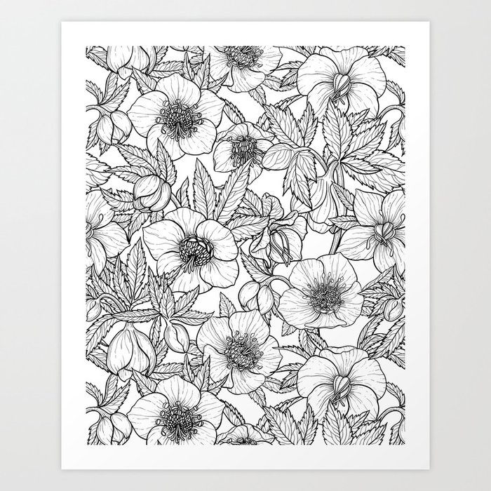 Hellebores in black and white Art Print