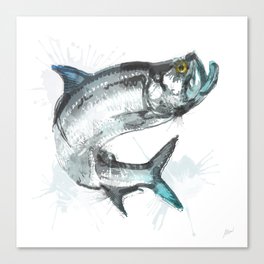 Tarpon Fish Canvas Print
