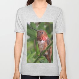 Hummingbird in the Japanese Maple V Neck T Shirt