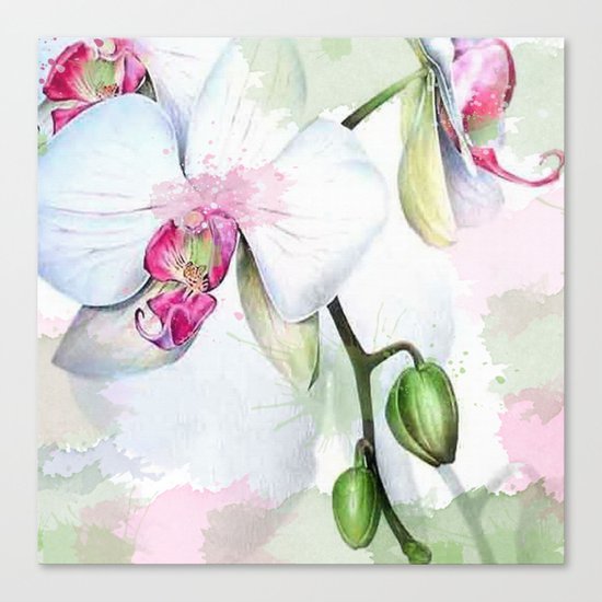 Orchids 04 Canvas Print