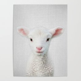 Lamb - Colorful Poster