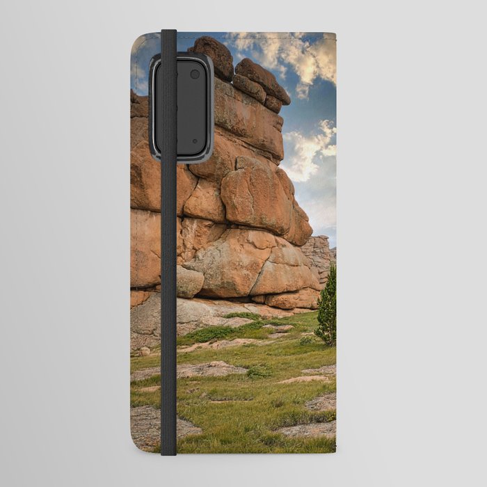 Bizarre Granite Monoliths of the Tarryall Mountains Android Wallet Case