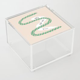 Supportive Snake Acrylic Box