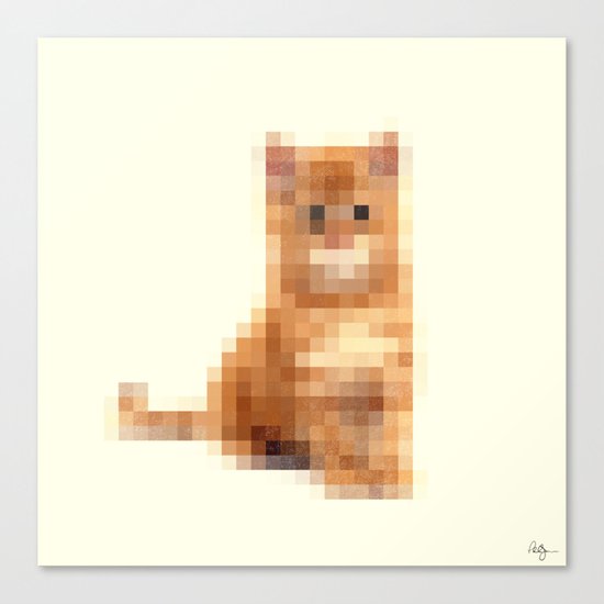 Censored Cat Canvas Print