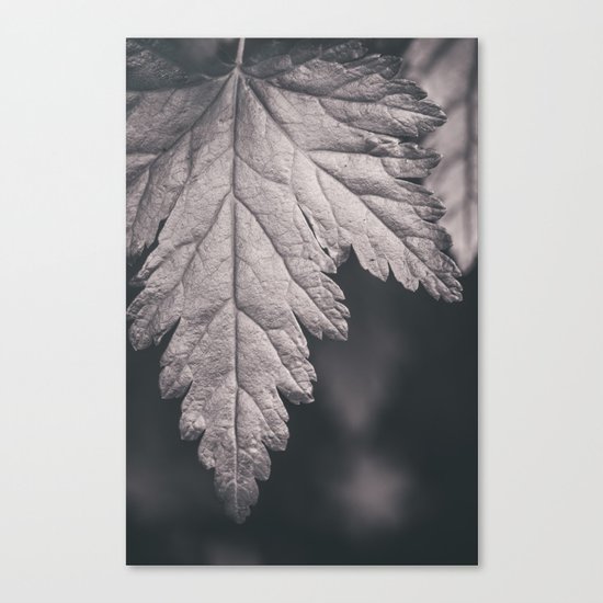 Black and White Forest Leaf Canvas Print