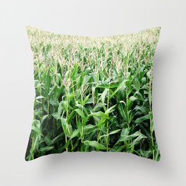 Maize Throw Pillows For Any Room Or Decor Style Society6