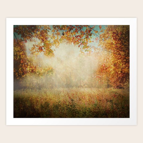 Splendor Art Print