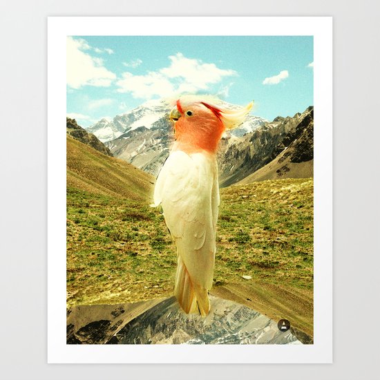 Parrot Mountain Art Print