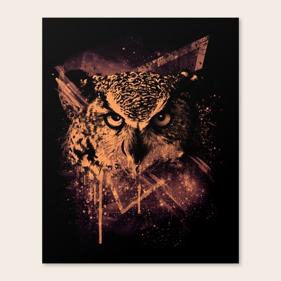 COSMIC OWL Canvas Print