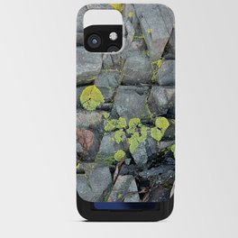 Nature's ombre  iPhone Card Case