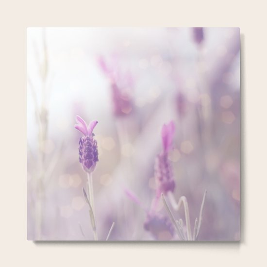 Daydreaming Metal Print