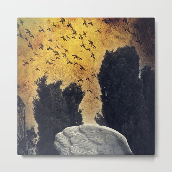 Wings - a fantasy Metal Print