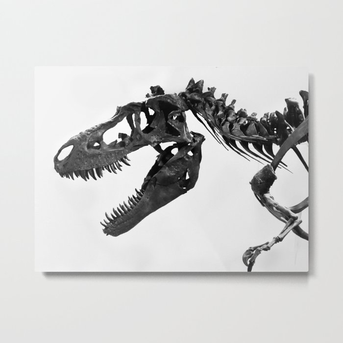 Tyrannosaurus Rex Skeleton Metal Print