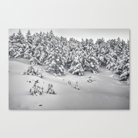 "Ragua" Canvas Print