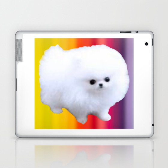 An Adorable And Cute Pomeranian Puppy On Colorful Back ground Sticker Magnet Tshirt And More Laptop & iPad Skin