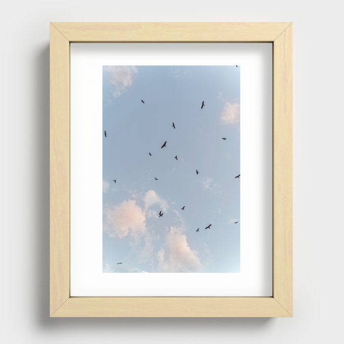 Birds of pray Recessed Framed Print